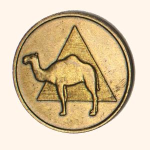 Sober Camel Bronze Medallion