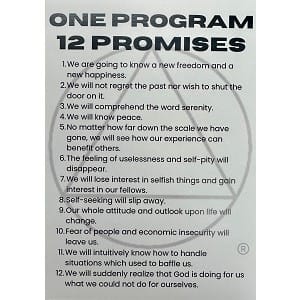 Greeting Cards One Program 12 Promises One Program 12 Promises