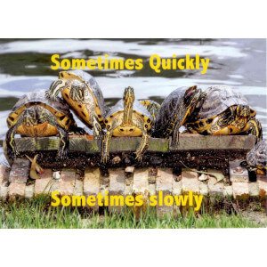 Greeting Card - Sometimes Quickly, Sometimes Slowly